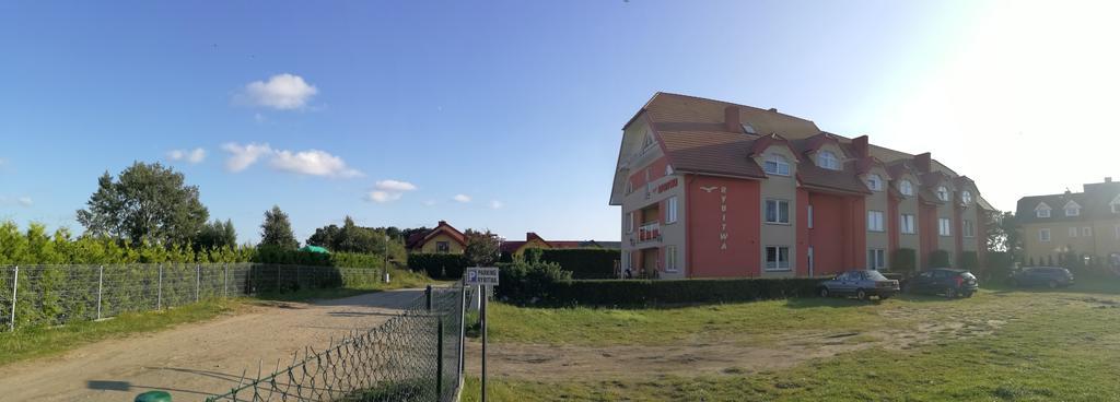 Rybitwa *