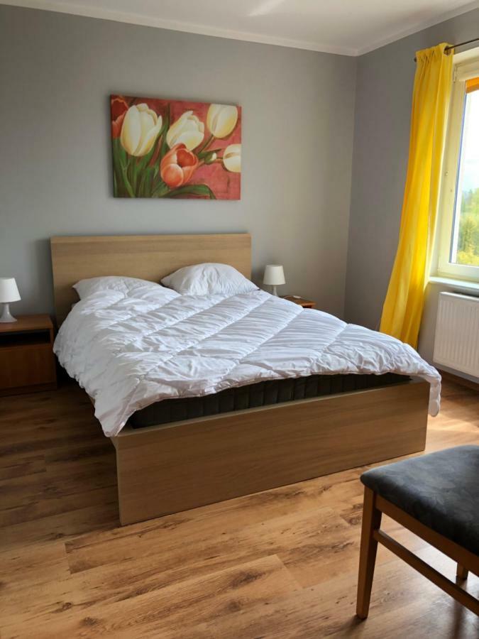 Homestay Rybitwa Debki